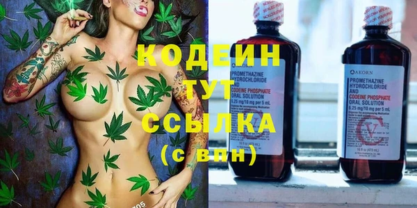 прущие грибы Алзамай