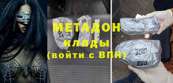 прущие грибы Алзамай