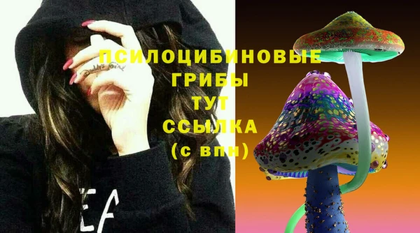 ПСИЛОЦИБИНОВЫЕ ГРИБЫ Алексеевка