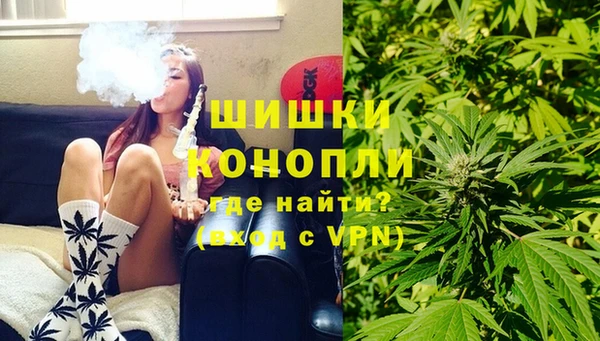 прущие грибы Алзамай