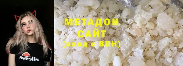 прущие грибы Алзамай
