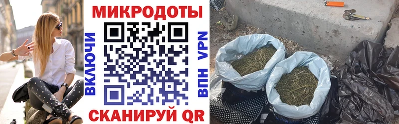 Галлюциногенные грибы GOLDEN TEACHER  KRAKEN ссылки  Новоузенск 